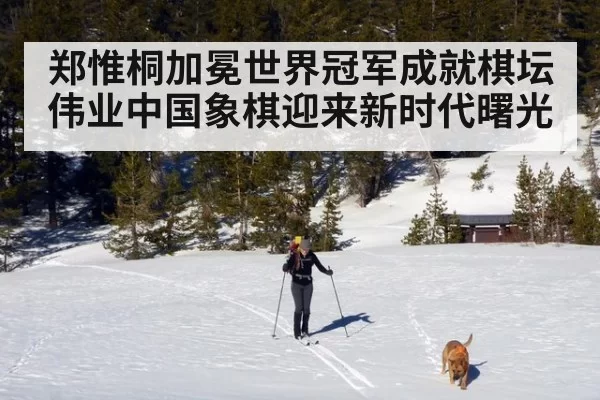 郑惟桐加冕世界冠军成就棋坛伟业中国象棋迎来新时代曙光